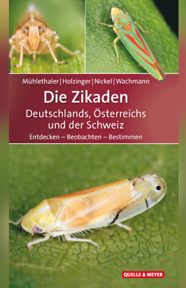 Buchcover - Die Zikaden Deutschlands, Österreichs und der Schweiz 2019